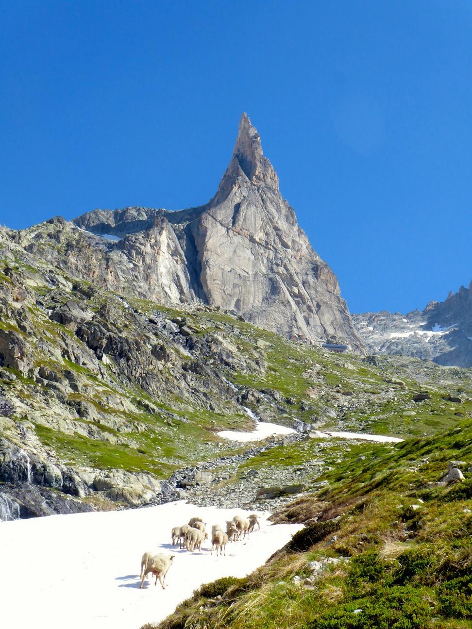 Alpine Adventures